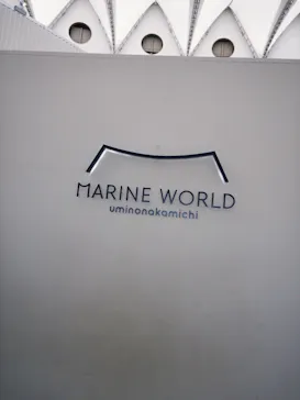マリンワールド海の中道に投稿された画像（2026/7/12）