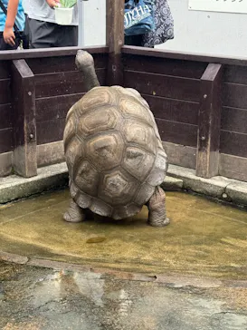 世界淡水魚園水族館　アクア・トトぎふに投稿された画像（2026/7/12）