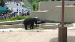 天王寺動物園に投稿された画像（2026/7/12）
