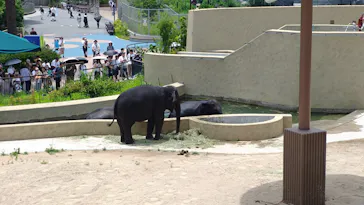 天王寺動物園に投稿された画像（2026/7/12）