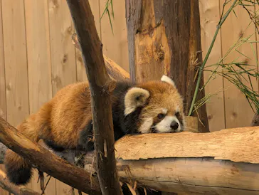 伊豆シャボテン動物公園に投稿された画像（2026/7/12）