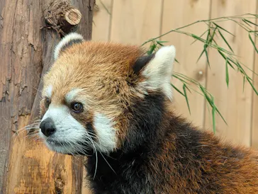 伊豆シャボテン動物公園に投稿された画像（2026/7/12）