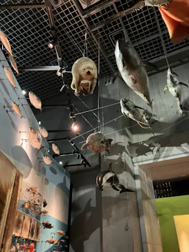 国立科学博物館に投稿された画像（2026/7/12）