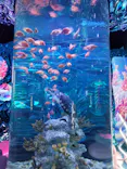 ひらかたパークに投稿された画像（2026/7/12）