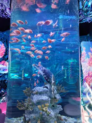 ひらかたパークに投稿された画像（2026/7/12）