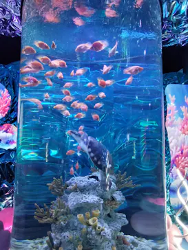 ひらかたパークに投稿された画像（2026/7/12）