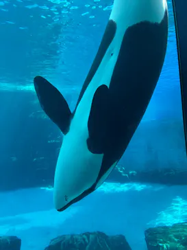 名古屋港水族館に投稿された画像（2026/7/12）