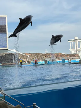 名古屋港水族館に投稿された画像（2026/7/12）