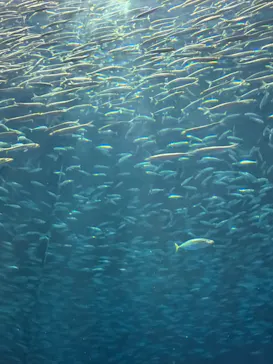 名古屋港水族館に投稿された画像（2026/7/12）