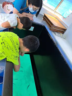 青の洞窟専門店　沖縄ダイビングショップ和に投稿された画像（2026/7/12）