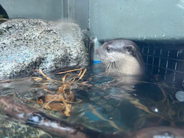 サンシャイン水族館に投稿された画像（2026/7/12）