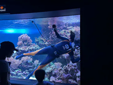 サンシャイン水族館に投稿された画像（2026/7/12）