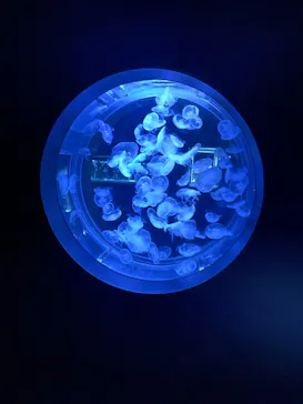 AOAO SAPPOROに投稿された画像（2026/7/12）