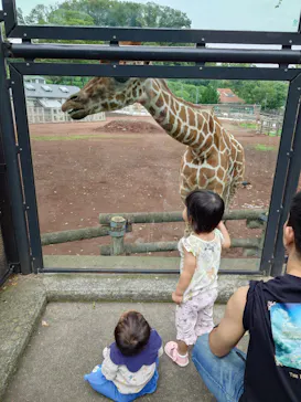 多摩動物公園に投稿された画像（2026/7/12）