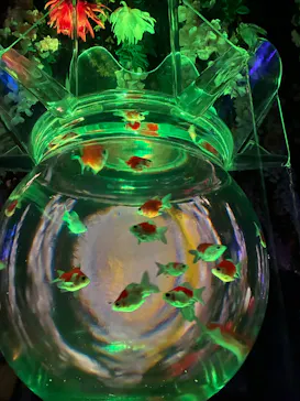 アートアクアリウム美術館 GINZAに投稿された画像（2026/7/12）