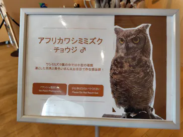 仙台うみの杜水族館に投稿された画像（2026/7/12）