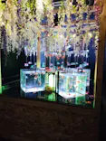 南知多ビーチランド＆南知多おもちゃ王国に投稿された画像（2026/7/13）