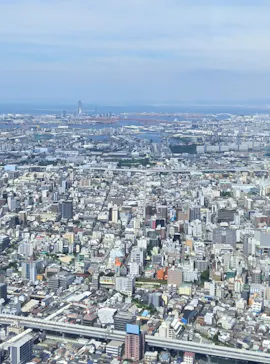 ハルカス300(展望台)に投稿された画像（2026/7/12）