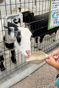 あらかわ遊園に投稿された画像（2026/7/13）