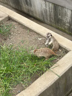 あらかわ遊園に投稿された画像（2026/7/13）