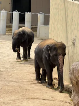 天王寺動物園に投稿された画像（2026/7/13）