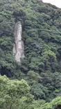 仙巌園に投稿された画像（2026/7/13）