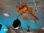 特別展「いきもの超ワールド展　国立科学博物館×ダーウィンが来た！」（国立科学博物館）に投稿された画像（2026/7/13）