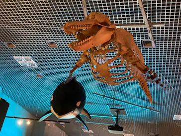 特別展「いきもの超ワールド展　国立科学博物館×ダーウィンが来た！」（国立科学博物館）に投稿された画像（2026/7/13）