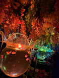 アートアクアリウム美術館 GINZAに投稿された画像（2026/7/13）