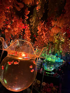 アートアクアリウム美術館 GINZAに投稿された画像（2026/7/13）