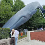 国立科学博物館に投稿された画像（2026/7/13）