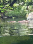 環境水族館アクアマリンふくしまに投稿された画像（2026/7/13）