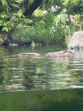 環境水族館アクアマリンふくしまに投稿された画像（2026/7/13）