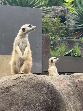 伊豆シャボテン動物公園に投稿された画像（2026/7/13）