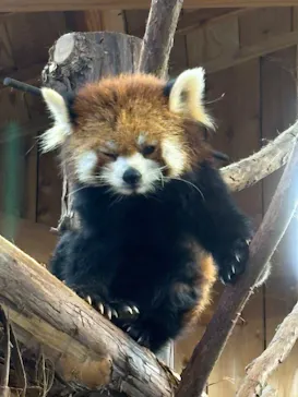伊豆シャボテン動物公園に投稿された画像（2026/7/13）