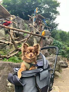伊豆シャボテン動物公園に投稿された画像（2026/7/13）