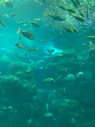 新江ノ島水族館に投稿された画像（2026/7/13）