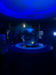 新江ノ島水族館に投稿された画像（2026/7/13）