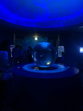 新江ノ島水族館に投稿された画像（2026/7/13）