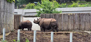 多摩動物公園に投稿された画像（2026/7/13）