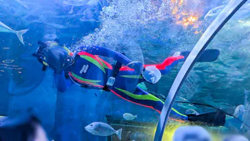 しながわ水族館に投稿された画像（2026/7/13）