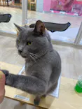 Moff animal cafe イオンモール成田店に投稿された画像（2026/7/13）