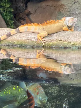 サンシャイン水族館に投稿された画像（2026/7/13）