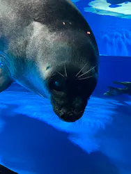サンシャイン水族館に投稿された画像（2026/7/13）