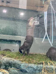 サンシャイン水族館に投稿された画像（2026/7/13）