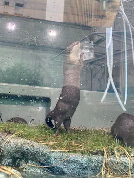サンシャイン水族館に投稿された画像（2026/7/13）