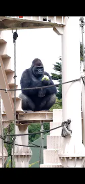名古屋市東山動植物園に投稿された画像（2026/7/13）