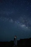 珊瑚ツアーに投稿された画像（2026/7/13）
