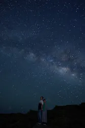 珊瑚ツアーに投稿された画像（2026/7/13）