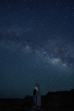 珊瑚ツアーに投稿された画像（2026/7/13）